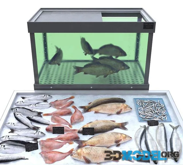 Fish store