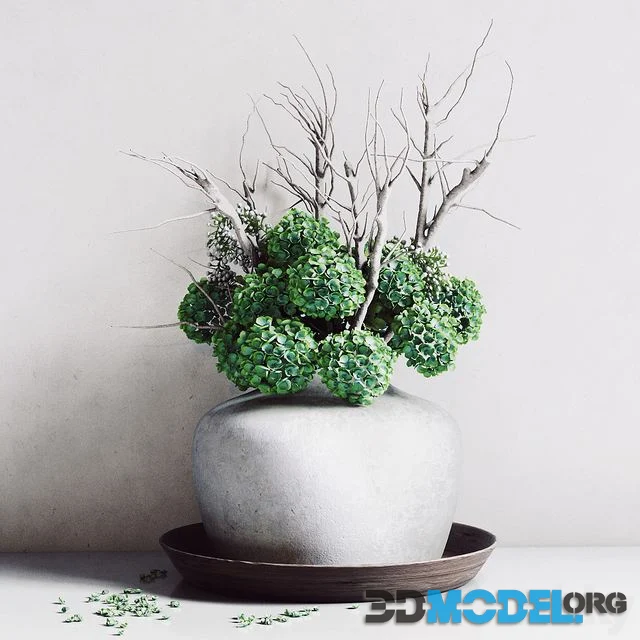 Hydrangea Vase