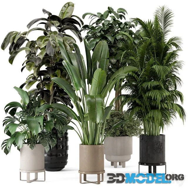 Indoor Plants in Ferm Living Bau Pot Large - Set 548