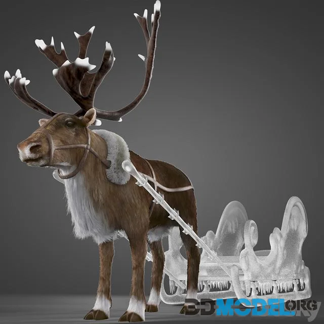 North Deer