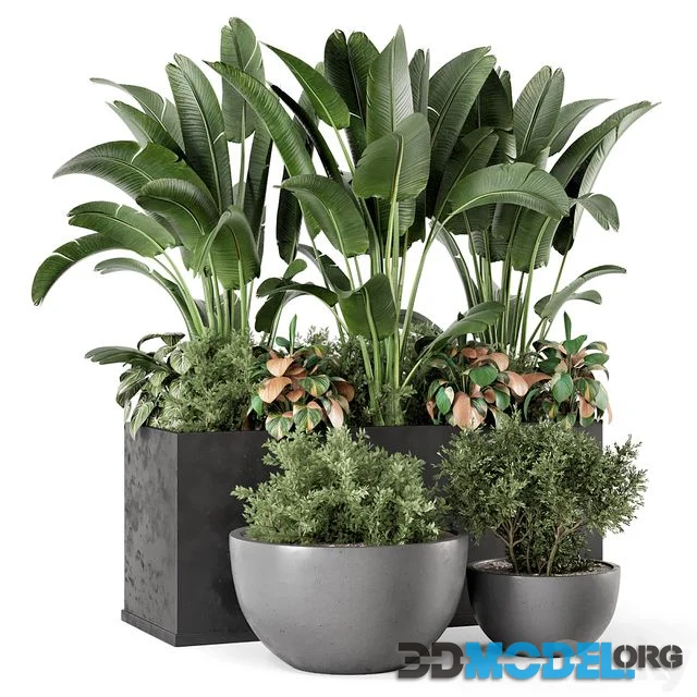 Garden Set 1144