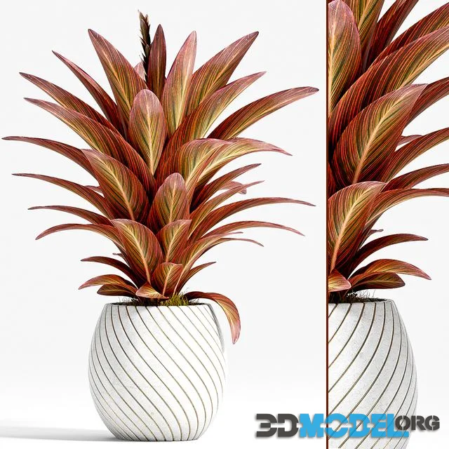 PLANT-74