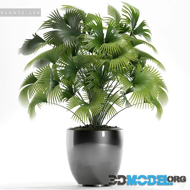 PLANTS 126