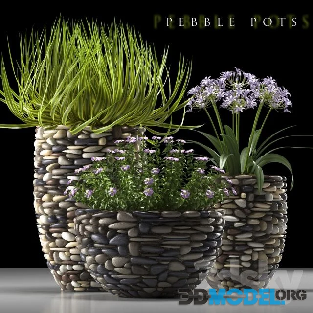 PLANTS 57
