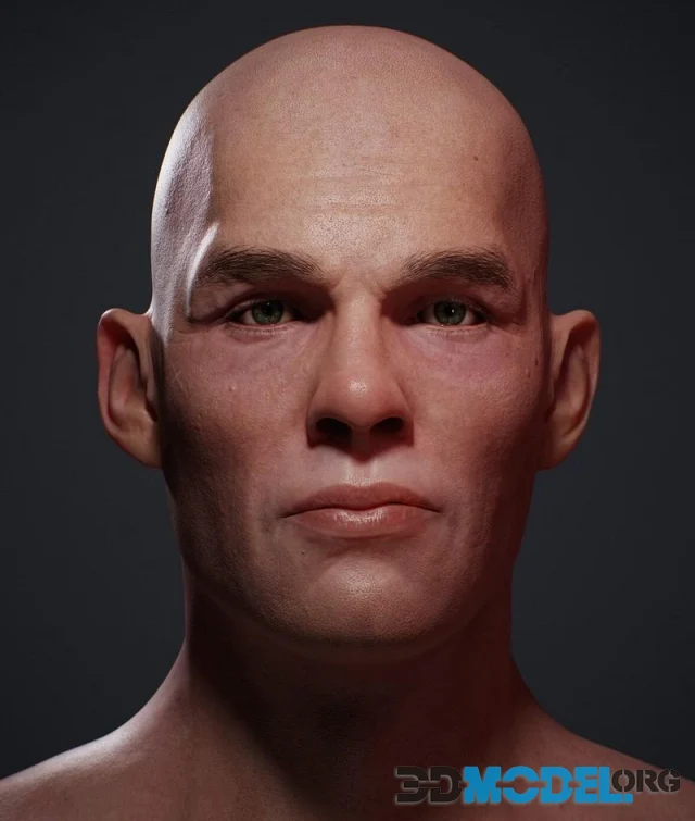 Realistic Head