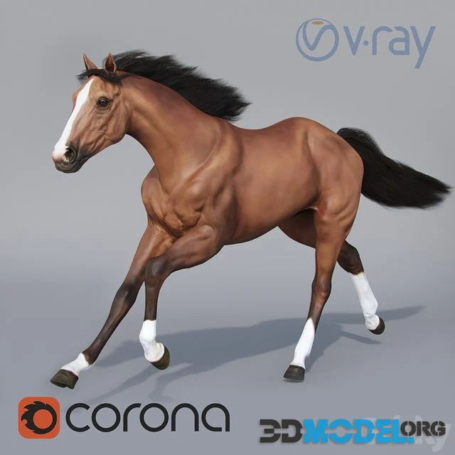 Running horse 02