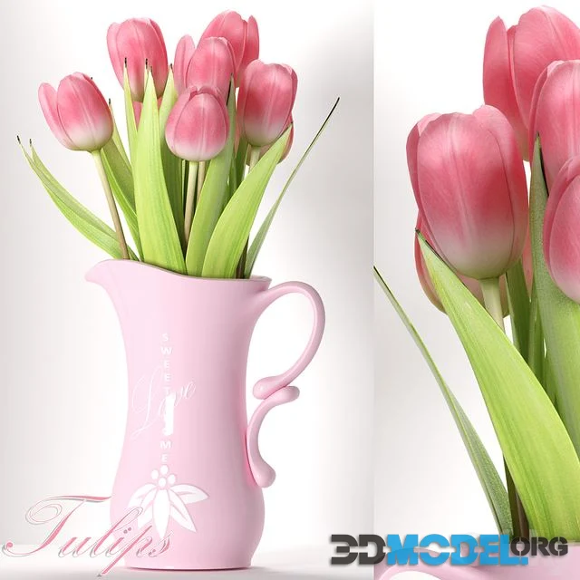 TULIP 8
