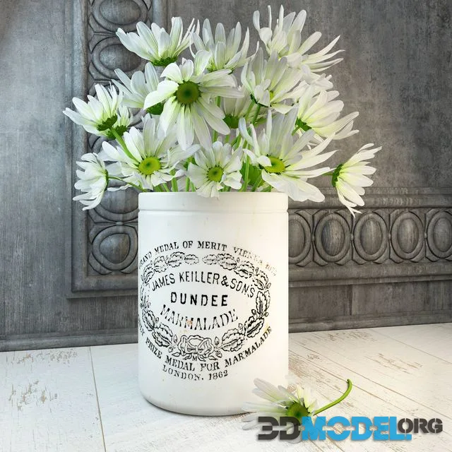 Daisies
