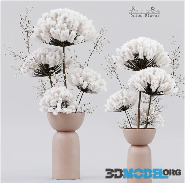 Dried Flower