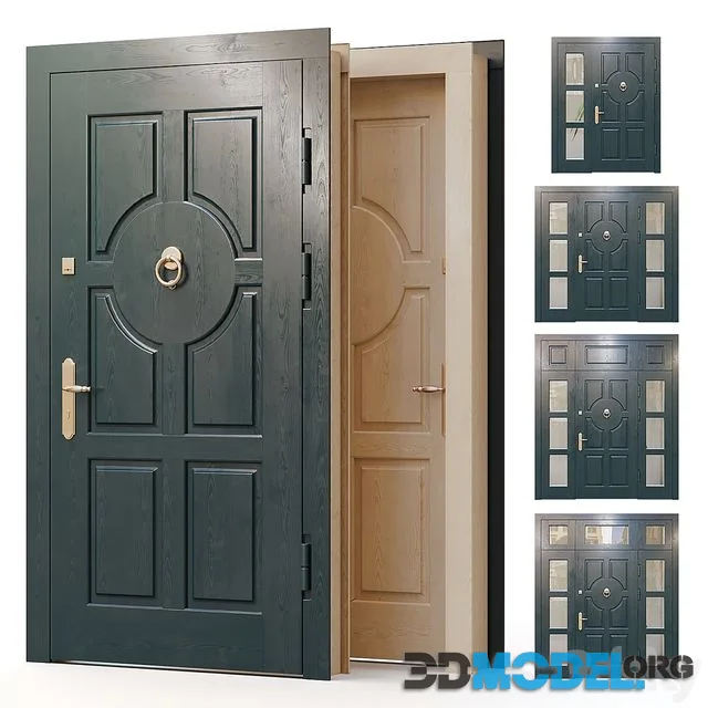 Entrance door for the main entrance 01