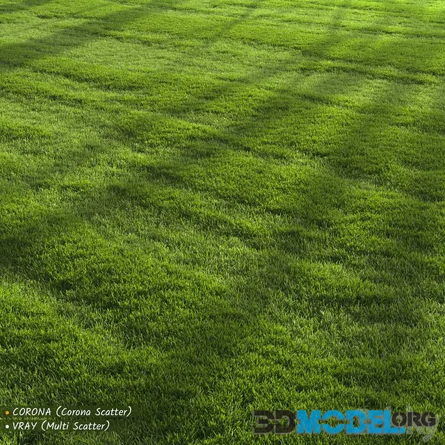 Garden Lawn