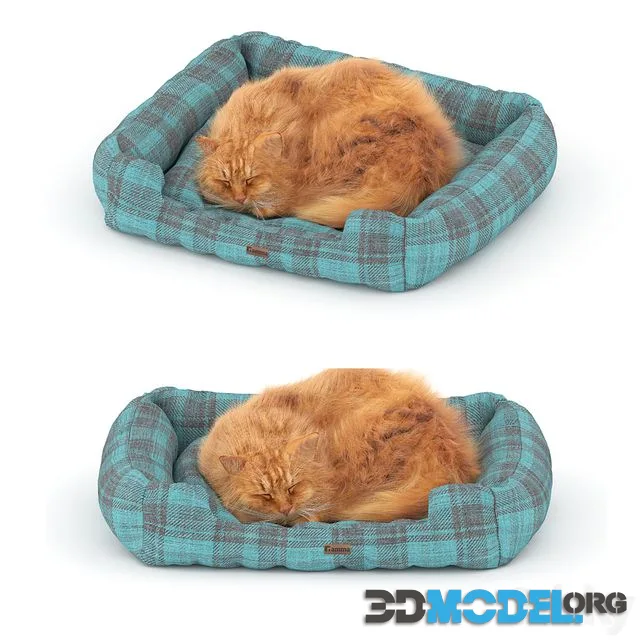 Ginger cat on the bed