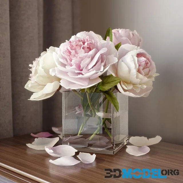 Peonies