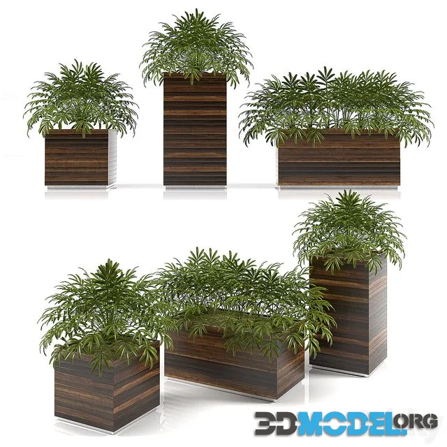 PLNTERBOX 2