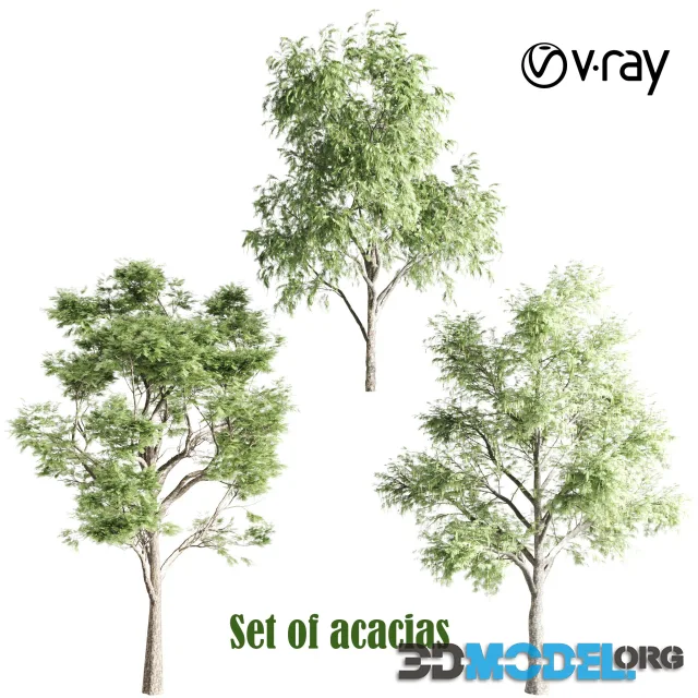 Set of acacias