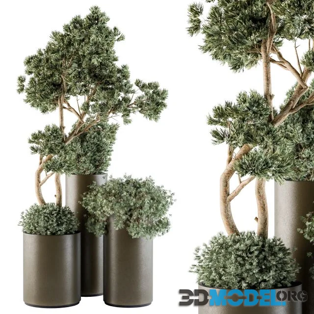 Set of plants 1218