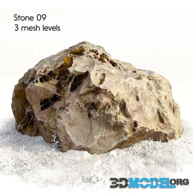 Stone 09