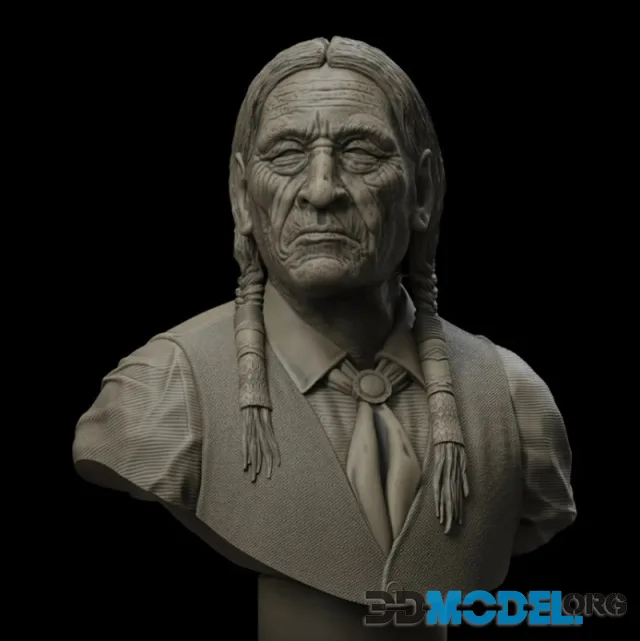 Cheyenne Elder – Printable