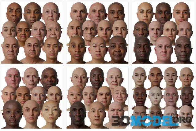 3D Scan Store - Male & Female 78x HD Head Scans Bundle