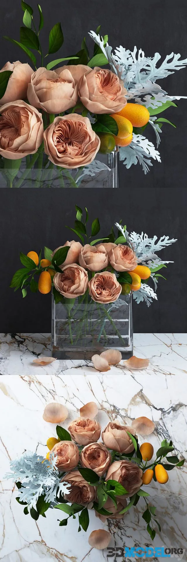 Bouquet of Austin's Roses, Kumquat and Dusty Miller plant