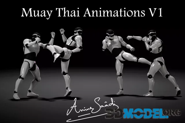 Combat animations - Kickboxing and Muay Thai V1
