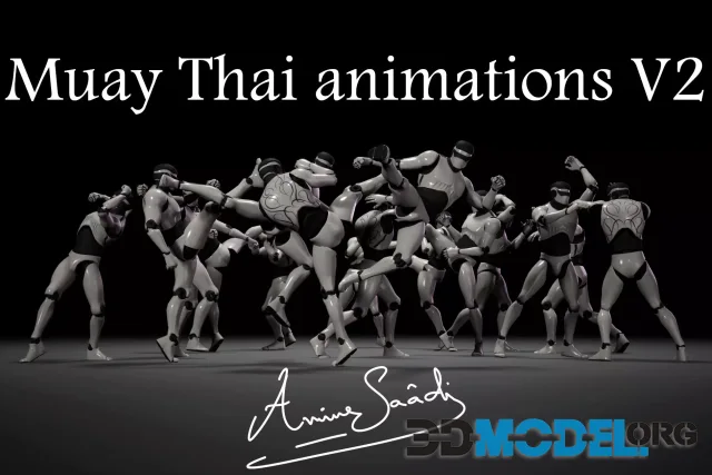 Combat animations - Kickboxing and Muay Thai V2
