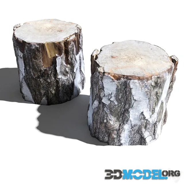 Cutted trunk