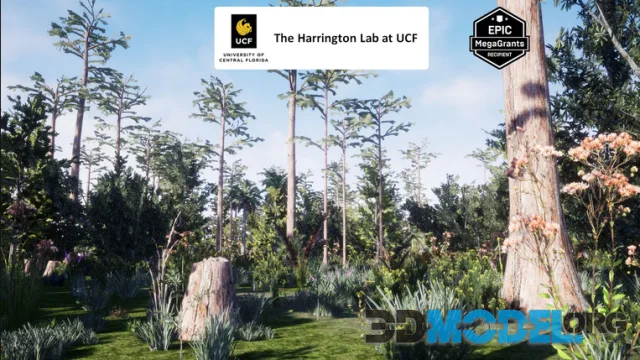 Depression Marsh Habitat Brush