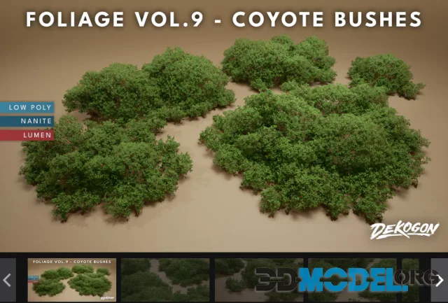 Foliage VOL.9 - Coyote Bushes (Nanite and Low Poly)
