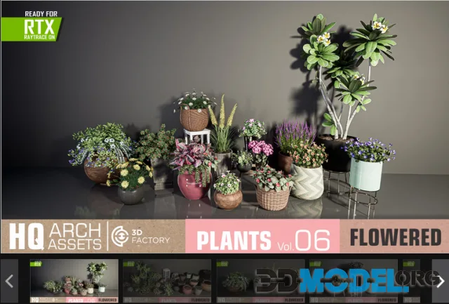 HQ Plants Vol. 6 ( Flowered Plants )