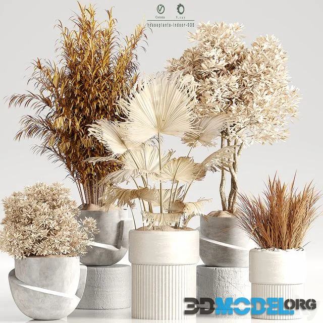 Indoor Plant Set 35 Dry Plants