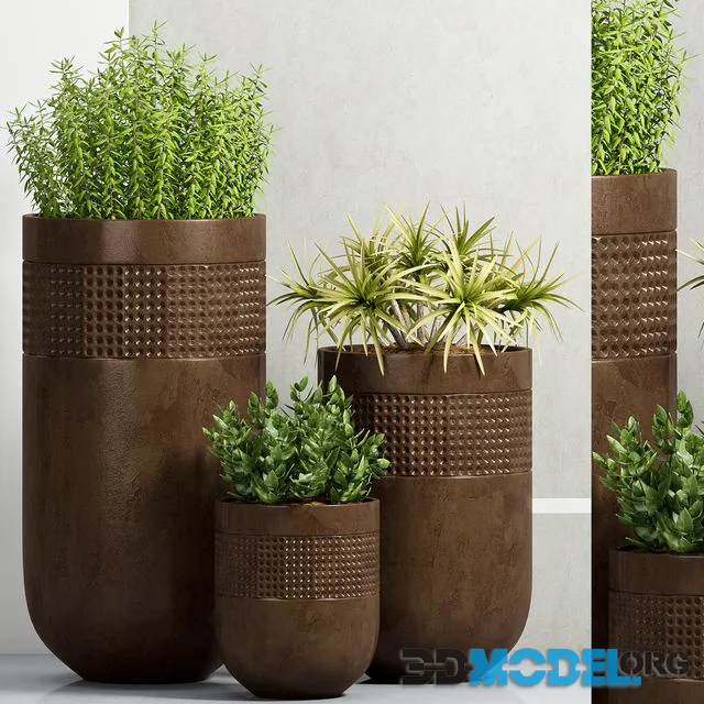 PLANT-38