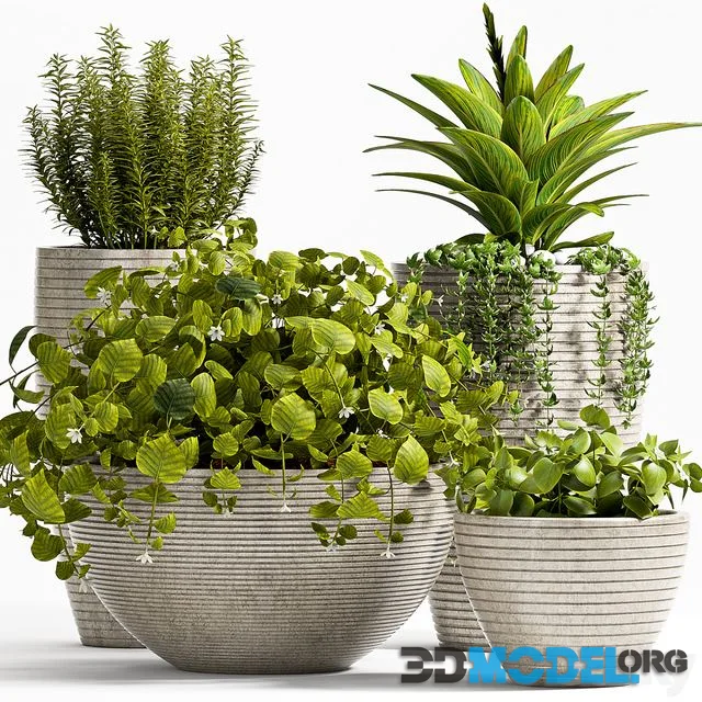 Plant set 57