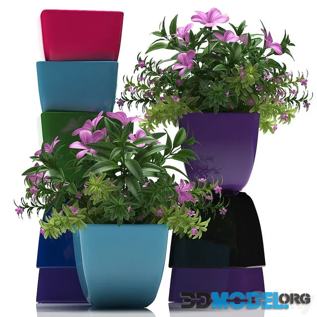 PLANTS 40