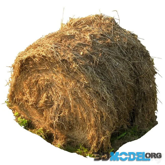 Round Bale of Hay