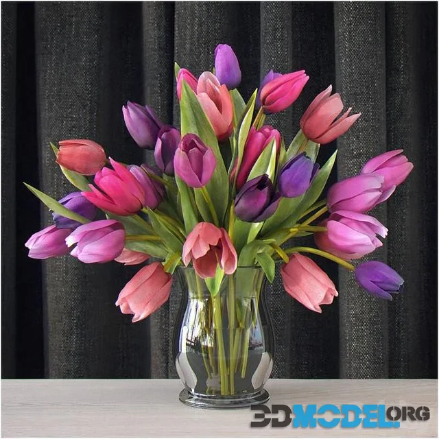 Tulips