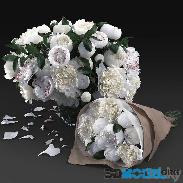 White Peonies
