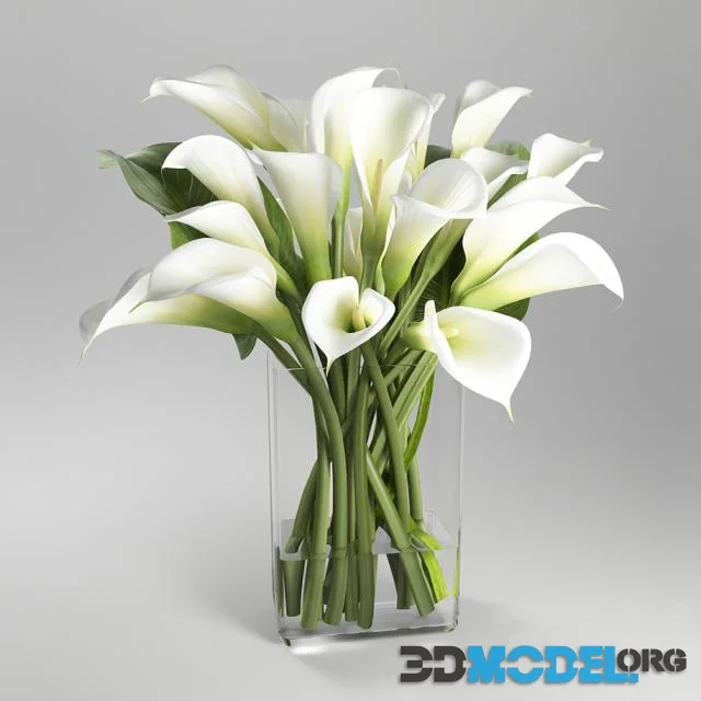 Bouquet of white calla lilies