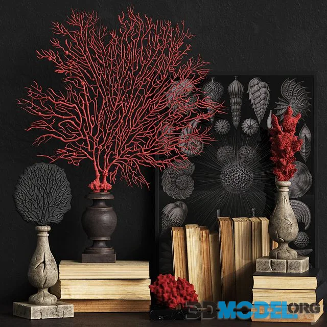 Coral Set 2