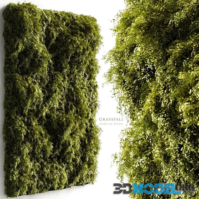 Grassfall (Branching phytowall 2.6m high and 1.7m wide)