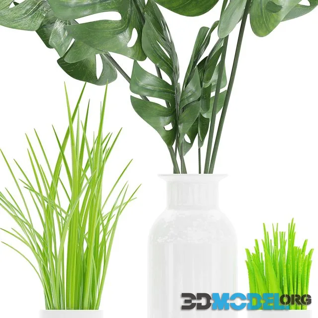 Plant 04