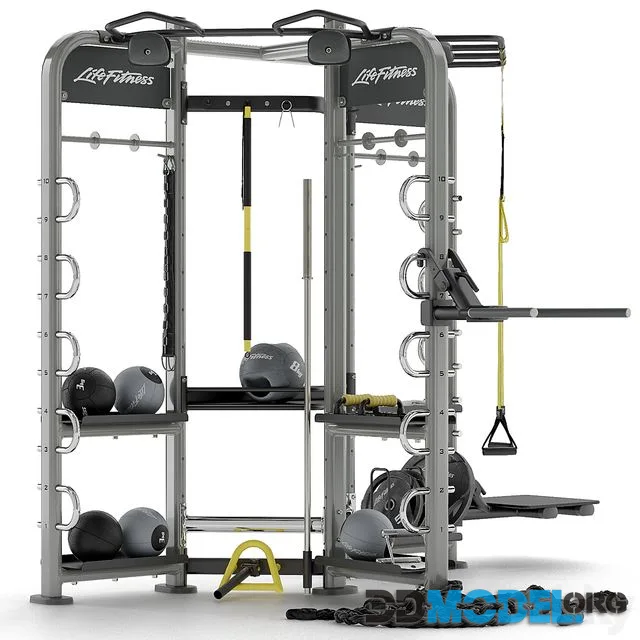 Sport trainer Life Fitness Synrgy 360
