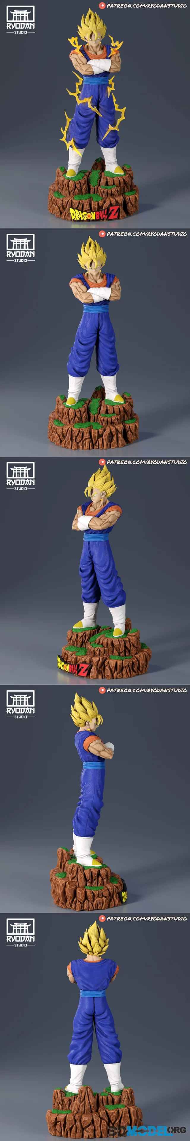 Ryodan Studio - Vegetto – Printable