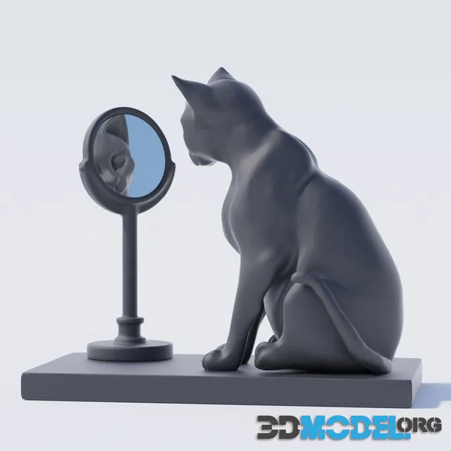 Cat and Mirror