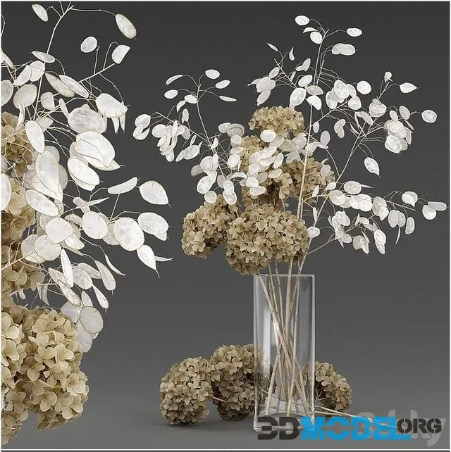 Dried flowers