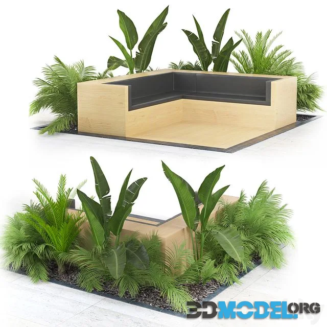Flowerbed_Palm