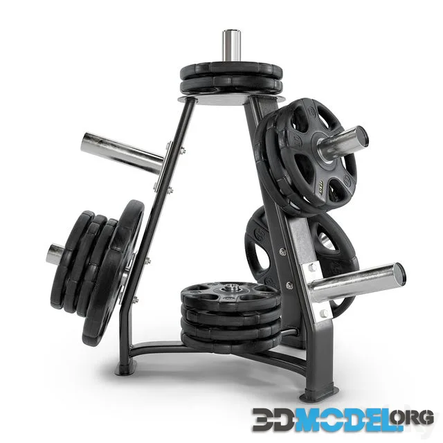 Gym Rack Disc Vid 01
