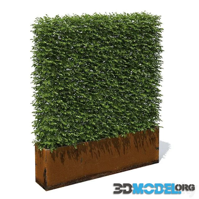 High hedges
