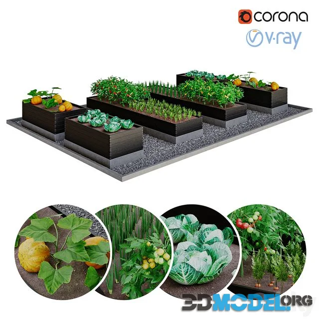 Kitchen garden