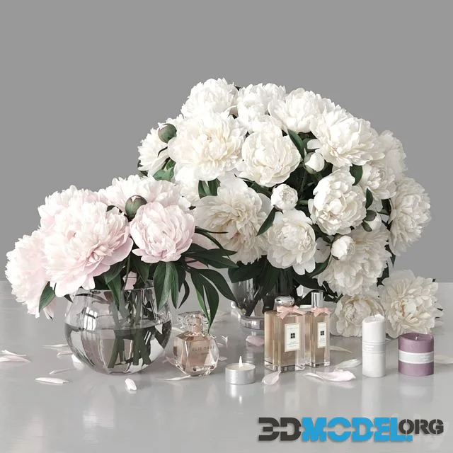 Peonies 2